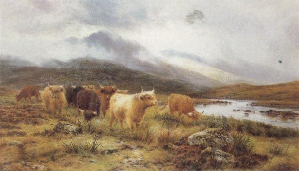 Louis bosworth hurt Highland Cattle on the Banks of a River (mk37) Sweden oil painting art